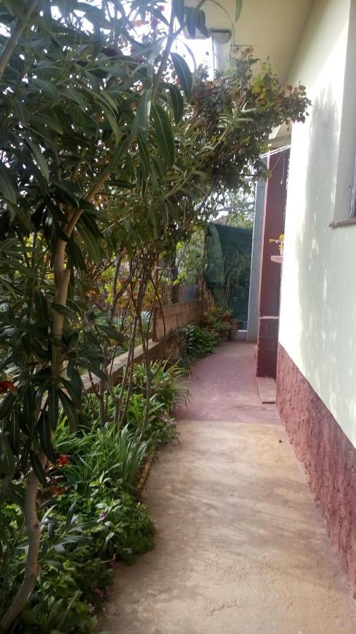 Pero apartman Villa Sukošan Esterno foto
